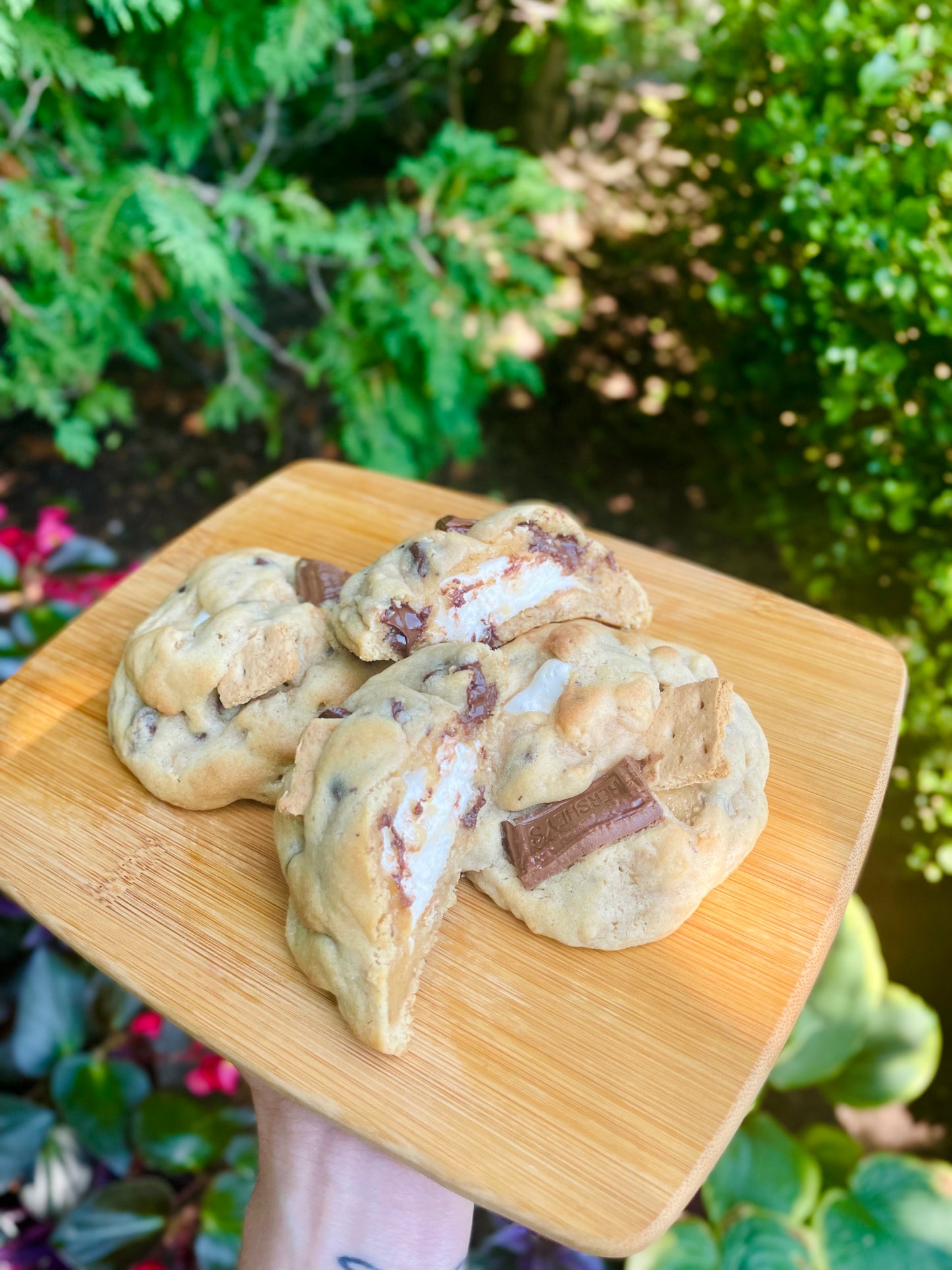 S’mores Cookies(6)