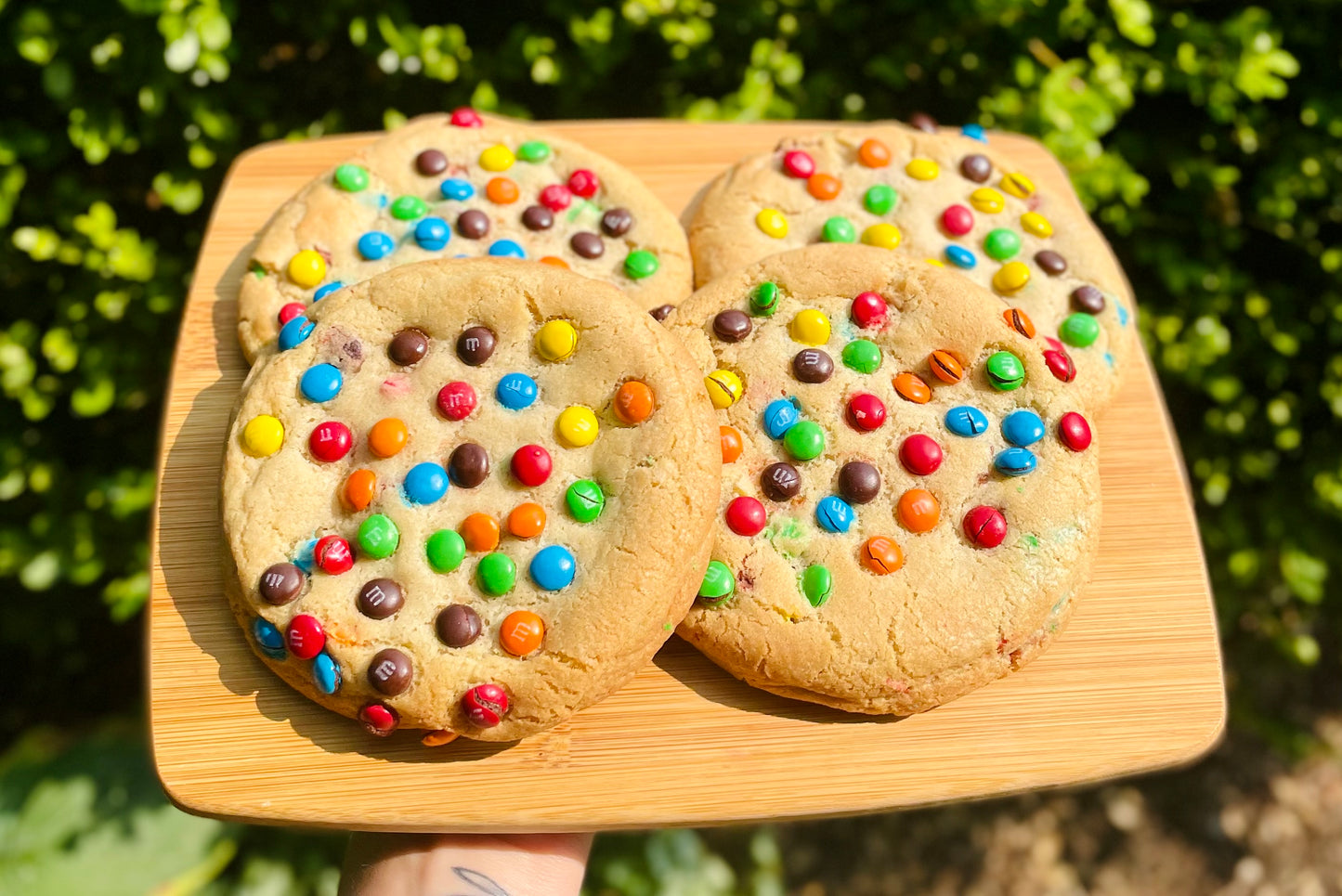 M&M Cookies(6)